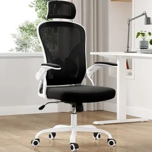 Farini Ergonomic Mesh Office Chair with Lumbar Support - Thumbnail Image 8