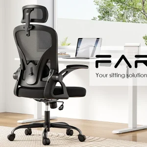 Farini Ergonomic Mesh Office Chair with Lumbar Support - Thumbnail Image 10