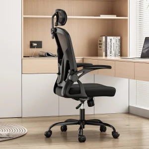 Farini Ergonomic Mesh Office Chair with Lumbar Support - Thumbnail Image 2